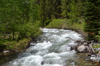 the creek hurries around the bend