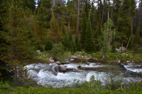 more rapids in the creek