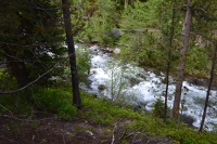 whitewater creek