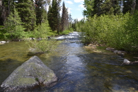 the creek leaves the lake