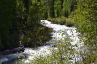 Lake Creek near the Visitor Center