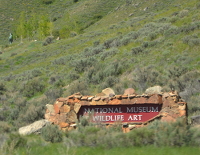 the Museum of Wildlife Art near Jackson