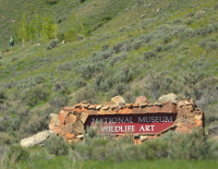 the Museum of Wildlife Art near Jackson